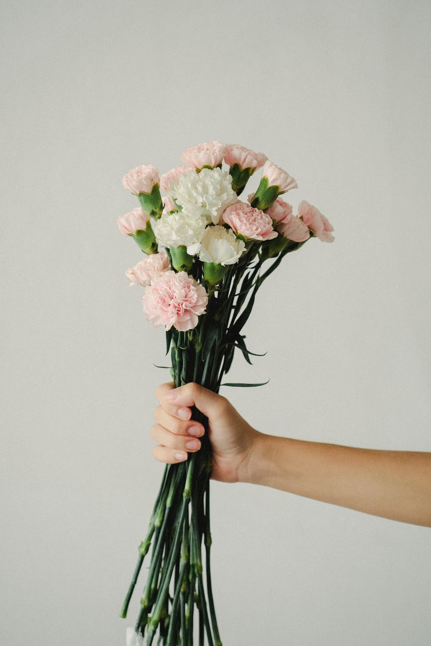 Mother's Day Carnations